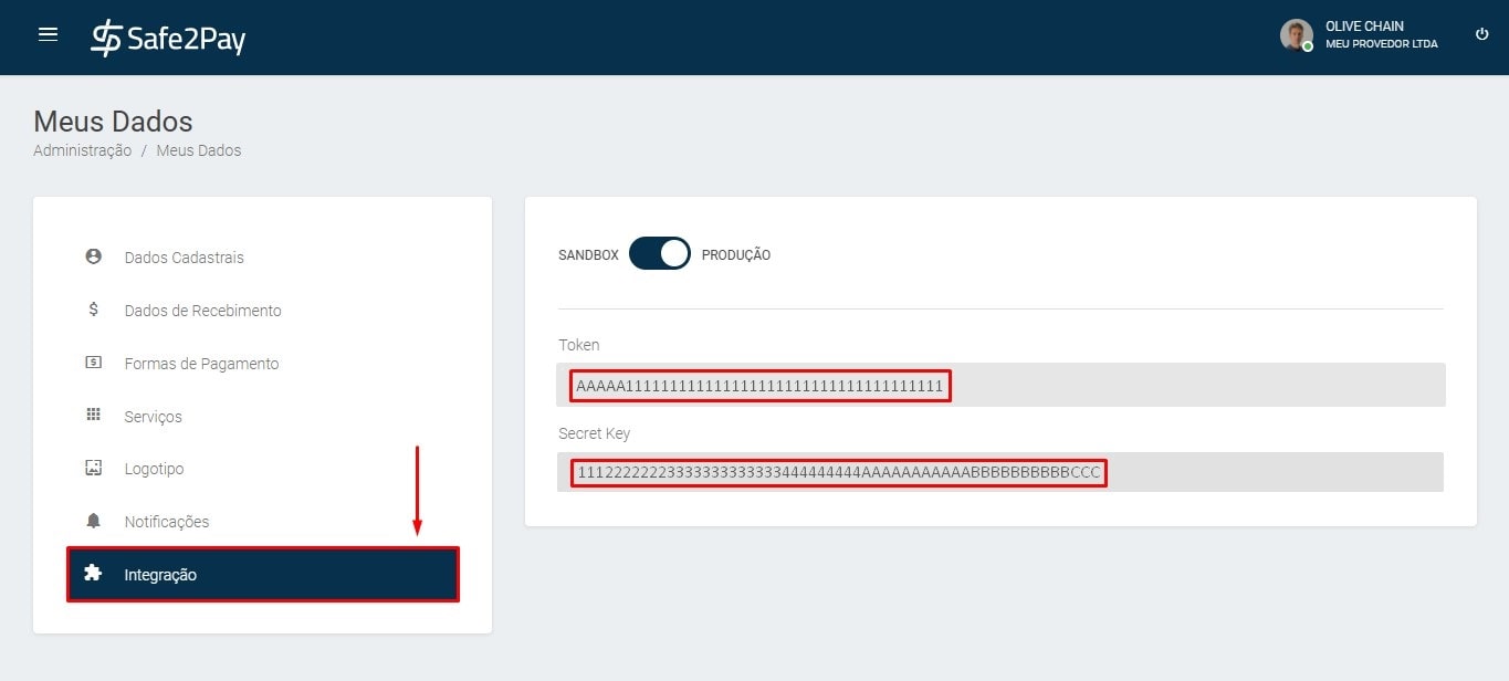 Chaves de integração do Safe2Pay.