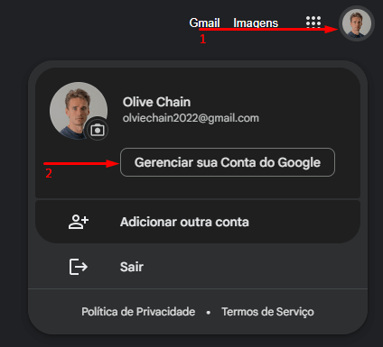 Gerenciar sua conta google.